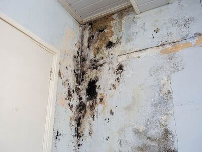 About water damage restoration service - burst pipe water damage experts in Chicopee